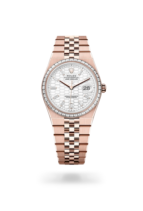 rolex Land-Dweller in 18 ct Everose gold, M127285TBR-0002 - Zadok Jewelers