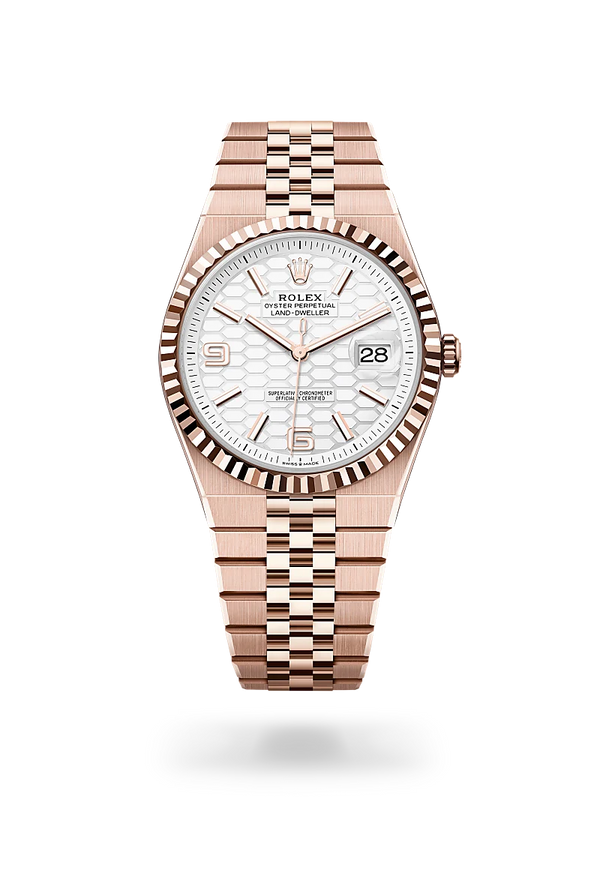 rolex Land-Dweller in 18 ct Everose gold, M127335-0001 - Zadok Jewelers