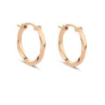 Trending Hoop Earrings